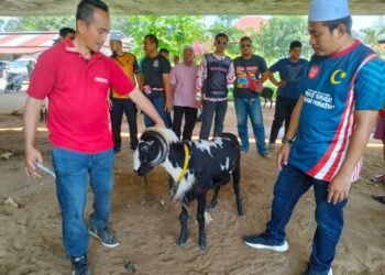 AHMAD Fadhli Shaari (kanan)  hadir melihat pertunjukan biri-biri Domba Garut di Tendong Pasir Mas, Kelantan hari ini.-UTUSAN/ROHANA ISMAIL.