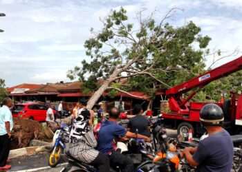 KEADAAN pokok tumbang menghempap empat buah rumah dalam kejadian ribut di Taman Seri Telok Emas, Melaka. - UTUSAN/RASUL AZLI SAMAD