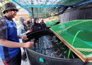 AMIRAH HURZAID (tengah) melihat perkembangan terkini projek ternakan ikan tilapia yang dijalankan bersama pelajar PPKI SMK Machang Bubok di Bukit Mertajam, Pulau Pinang baru-baru ini.