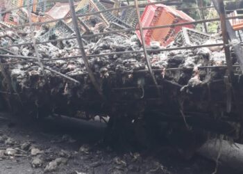 BANGKAI ayam yang terbakar dalam kebakaran sebuah lori di Kilometer 10, Jalan Lebuh Raya Timur-Barat, dekat Jeli, Kelantan semalam.-UTUSAN/ IHSAN BOMBA