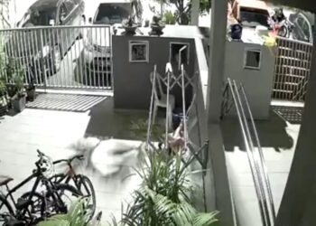 RAKAMAN video yang tular mengenai kejadian itu.