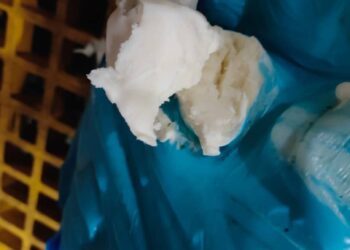 LILIN sawit yang cuba dicuri suspek dalam satu rampasan  di Kawasan Perindustrian Pandamaran, Klang, di sini, Rabu lalu.