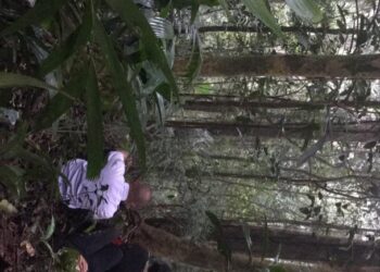 LOKASI helikopter terhempas di Brinchang, Cameron Highlands. - SUMBER KESELAMATAN