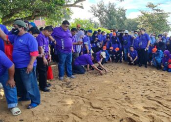 AB. RAUF Yusoh (empat dari kiri) melihat pelepasan 300 ekor anak penyu ke habitat asal di Pantai Tanjung Bidara, Masjid Tanah, Melaka. - UTUSAN/MUHAMMAD SHAHIZAM TAZALI