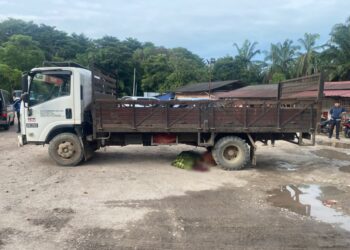 TUBUH Abd. Hafis digilis sebuah lori dalam kejadian di kawasan timbang sawit, Jalan Ayer Hitam-Lendu, Alor Gajah, Melaka.