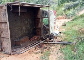 SEORANG lelaki maut selepas dihempap sebuah pikap di jalan ladang Felda Chiku 2, Gua Musang, Kelantan. - UTUSAN/IHSAN POLIS