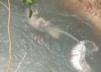 MAYAT bayi perempuan yang masih bertali pusat ditemukan orang awam dalam sebuah parit di Kampung Melayu Pandan, Johor Bahru, semalam.