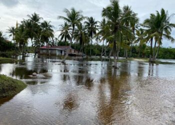KAMPUNG Cenderawasih di Sungai Miang, Pekan, Pahang dinaiki air ekoran hujan berterusan sejak semalam.