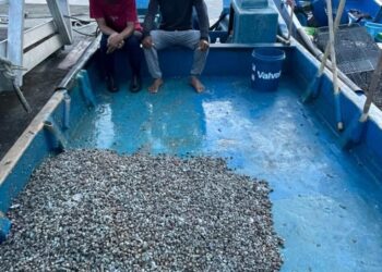 SALAH sebuah bot yang ditahan menerusi Op Aman selepas dipercayai melakukan aktiviti menangguk benih kerang secara haram di sekitar perairan Kuala Sanglang, Perlis. -UTUSAN