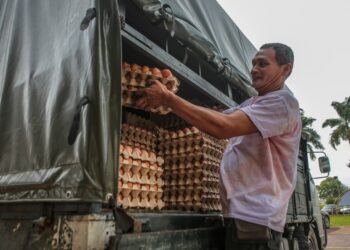 KHIRUIZAN Ramli mengangkat bekalan telur yang baru tiba untuk diagihkan kepada peniaga-peniaga di Pasar Besar Alor Setar di Alor Setar. - UTUSAN/ SHAHIR NOORDIN