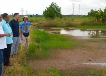 LIM Ban Hong melihat sawah milik Mohd. Zubir Muhamat yang kering kerana ketiadaan air hingga menjejaskan tanaman padi di Kampung Batang Tiga, Klebang, Melaka. - UTUSAN/AMRAN MULUP