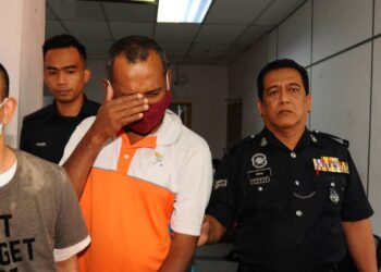 SEORANG lelaki warganegara India dihadapkan ke Mahkamah Sesyen Johor Bahru atas tuduhan merogol dan meliwat anak bongsunya pada Disember lalu.