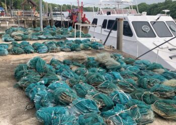 SEBAHAGIAN bubu naga yang dirampas Maritim Malaysia dalam operasi khas di perairan negeri ini di Alor Setar.