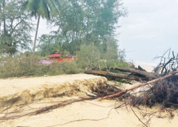 KEADAAN hakisan yang merencatkan keindahan Pantai Bisikan Bayu Semerak di Pasir Puteh, Kelantan. 
– mingguan/TOREK SULONG