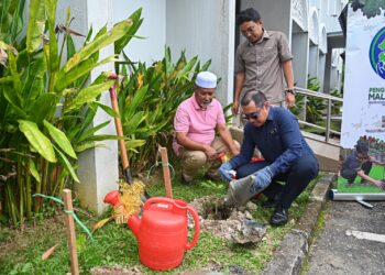 HELMY Tariq Othman (kanan) menanam pokok pada Majlis Penyerahan Pokok Landskap di Masjid Al-Muktafi Billah Shah, Ladang, Kuala Terengganu. - UTUSAN/PUQTRA HAIRRY ROSLI