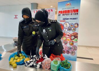 BUAH limau dan cili antara hasil pertanian tanpa permit yang dirampas Maqis ketika pemeriksaan di ICQS Melaka, Kota Laksamana, Melaka. - UTUSAN/MUHAMMAD SHAHIZAM TAZALI