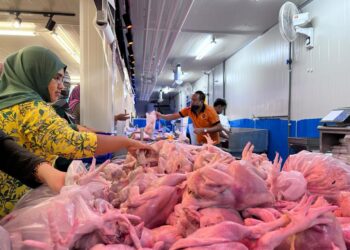 PENGUNJUNG turut berpeluang membeli barangan keperluan asas seperti seekor ayam RM10. - GAMBAR HIASAN
