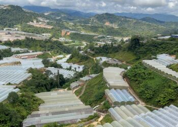 KAWASAN kebun sayur yang menjadi laluan paip air ke kampung Orang Asli di Tanah Tinggi Lojing, Kelantan. - UTUSAN/AIMUNI TUAN LAH