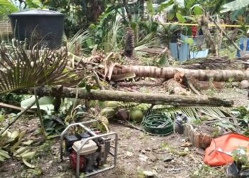 LOKASI seorang wanita warga emas maut dihempap pokok kelapa dalam kejadian di Felda Palong 8, Jempol petang tadi.-GAMBAR/IHSAN BOMBA.