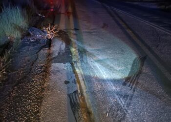 KEADAAN motosikal jenis Honda EX5 milik warga emas yang terbakar selepas terlibat kemalangan di Kilometer 16, Jalan Gua Musang-Kuala Krai dekat Rancangan Kemajuan Tanah (RKT) Kesedar Renok Baru, Gua Musang, Kelantan.UTUSAN/IHSAN POLIS
