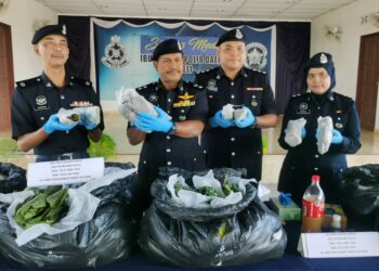 SAARI Yaacob (dua dari kiri) menunjukkan daun ketum yang berjaya dirampas pihaknya dalam Ops Tapis semasa sidang akhbar di Ibu Pejabat Polis Daerah (IPD) Jeli, Kelantan hari ini-UTUSAN/ROSALWANI CHE SOH 