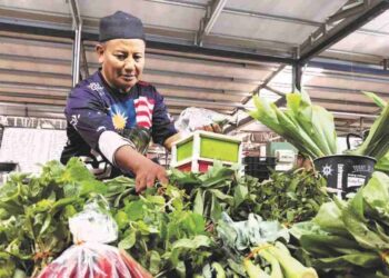ROSLAN Hassan menyusun bekalan sayuran-sayuran di gerainya di Pasar Besar MBMB di Bachang, Melaka. - UTUSAN/MUHAMMAD SHAHIZAM TAZALI