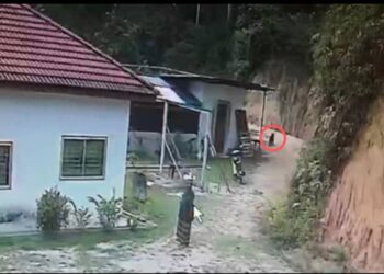 RAKAMAN kamera litar tertutup yang memaparkan kemunculan seekor harimau kumbang (bulatan merah) di sebuah rumah penduduk di Kampung Gachong, Inas, Kuala Pilah, kelmarin.