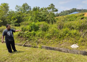MOHAMAD Zamri Mokhtar menunjukkan lokasi dia terlihat seekor harimau belang yang melintas jalan lalu memasuki kawasan semak Kampung Batu Puteh, Chengkau, Rembau pagi tadi.-UTUSAN/NOR AINNA HAMZAH.
