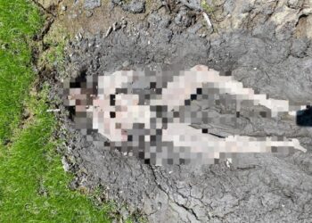 MAYAT lelaki warga emas ditemukan maut di dalam lopak air berselut di kawasan bendang Pangkalan Haji Ali, Bachok, Kelantan-UTUSAN/IHSAN POLIS