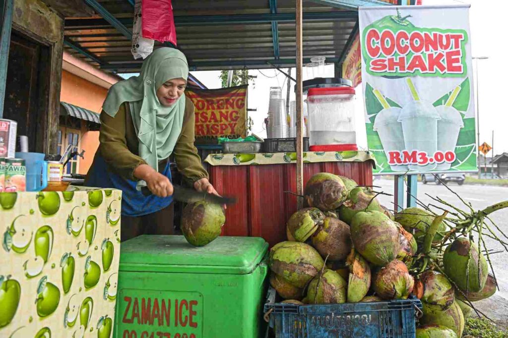 Cuaca panas: Air kelapa muda laris di Terengganu 10 Cuaca panas: Air kelapa muda laris di Terengganu 10