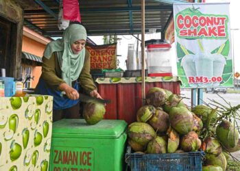AZILAWATI Musa menyediakan air kelapa muda untuk pelanggan di gerainya di Kampung Padang Mengkuang, Marang, hari ini. - UTUSAN/PUQTRA HAIRRY ROSLI