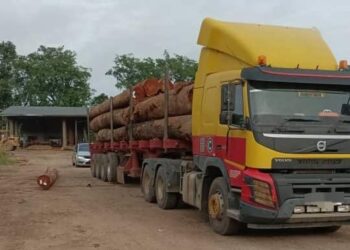 LOKASI seorang lelaki maut selepas dihempap kayu balak di sebuah kilang papan di Kawasan Perindustrian Gua Musang di Gua Musang, Kelantan. - UTUSAN/IHSAN MEDIA SOSIAL
