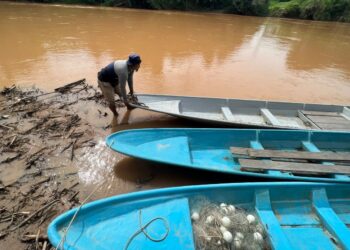 SEORANG penduduk membetulkan kedudukan botnya selepas air Sungai Nenggiri, Gua Musang, Kelantan mulai kering akibat kemarau. – UTUSAN/AIMUNI TUAN LAH