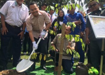 NIK Nazmi Nik Ahmad (tengah) melakukan simbolik menanam pokok meranti sarang punai pada Program Townhall Madani bersama Mahasiswa di UiTM Machang, Kelantan hari ini. UTUSAN / ROSMIZAN RESDI