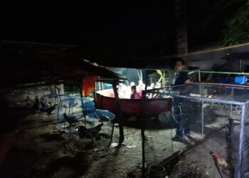 LOKASI kegiatan sabung ayam yang diserbu pihak polis di Kampung Tok Bali, Pasir Puteh, Kelantan semalam.-UTUSAN/IHSAN POLIS