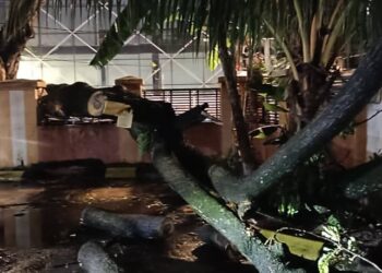 POKOK berhampiran Balai Bomba dan Penyelamat Hang Tuah  tumbang akibat hujan dan ribut.