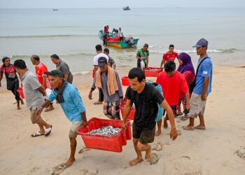 SEBAHAGIAN daripada ikan yang didaratkan nelayan di Pantai Telaga Papan, Setiu, Terengganu. - UTUSAN/PUQTRA HAIRRY
