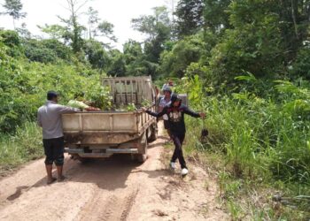 MASYARAKAT Kampung Tampenau berpeluang menambah pendapatan dengan membekalkan anak-anak pokok kepada MPOGCF untuk Projek Penanaman Sejuta Pokok di Lahad Datu, Sabah. – FB MPOGCF