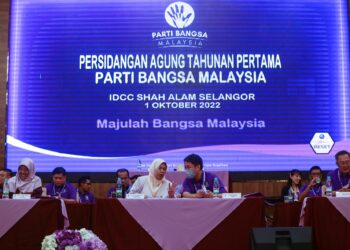 Kemelut Parti Bangsa Malaysia (PBM) akan diselesaikan dalam tempoh terdekat selepas dua pemimpin utamanya Zuraida Kamaruddin dan Larry Sng Wei Shien bertemu dalam minggu ini.