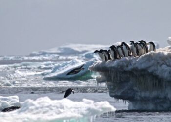 SUHU yang semakin tinggi direkodkan di Antartika konsisten dengan perubahan iklim yang berlaku ketika ini. - AFP