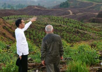 JOKO Widodo meninjau kawasan di daerah Penajam Paser Utara di Kalimantan Timur yang akan dibangunkan sebagai ibu negara baharu Indonesia pada Disember 2019. - AFP