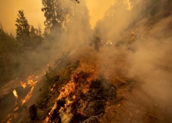 PASUKAN bomba memadamkan kebakaran hutan di California, Amerika Syarikat pada 25 September tahun lalu. - AFP