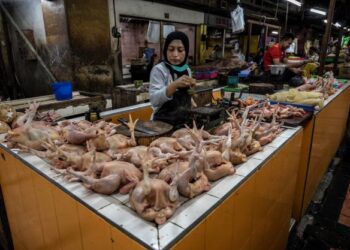 AYAM merupakan antara barangan asas yang merekodkan peningkatan harga dalam pasaran Indonesia. - AFP