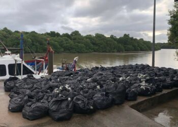 BUNGKUSAN plastik hitam berisi daun ketum yang dirampas Maritim Malaysia setelah berjaya menahan sebuah bot dinaiki tiga lelaki di Kuala Kedah, Alor Setar di sini.