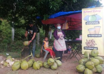 MOHD.Fairuz Mohd. Zulkifli dan isterinya, Nurul Nafisah Mohd. Juha berniaga air kelapa muda di Kampung Bukit Ara, Hulu Terengganu. - NOOR HAYATI MAMAT