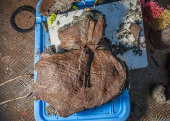 BAKUL berisi buah-buahan di bawa ke permukaan oleh sepasukan arkeologi. -AGENSI