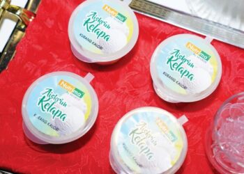 Aiskrim kelapa kurang kalori yang diproses secara makmal oleh Nor Zalina Mat Saad.