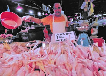 RAMAI penduduk merungut mereka sudah gemuk kerana kerap makan ayam. – GAMBAR HIASAN