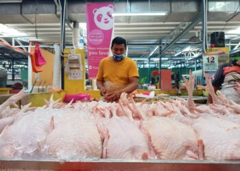 SEORANG peniaga sedang memotong ayam ketika tinjauan Utusan Malaysia di Pasar Besar Melaka. - UTUSAN/MUHAMMAD SHAHIZAM TAZALI