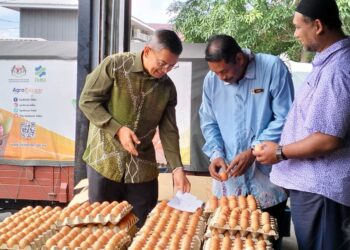 DR. Azman Ibrahim (kiri)  memeriksa bekalan telur daripada pembekal tempatan di Pusat Operasi FAMA, Chendering, Kuala Terengganu, hari ini. - UTUSAN/KAMALIZA KAMARUDDIN